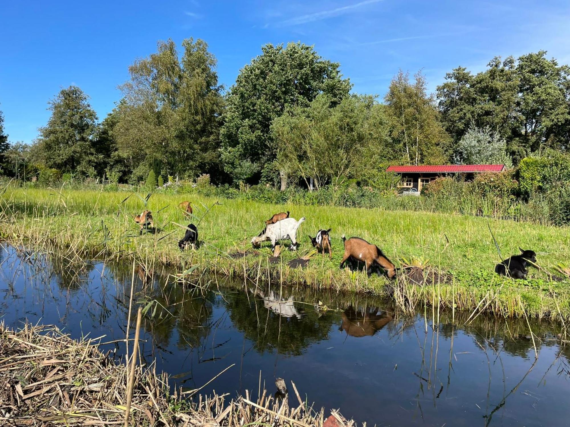 Kortenhoef Huisje Op De Dijk מראה חיצוני תמונה